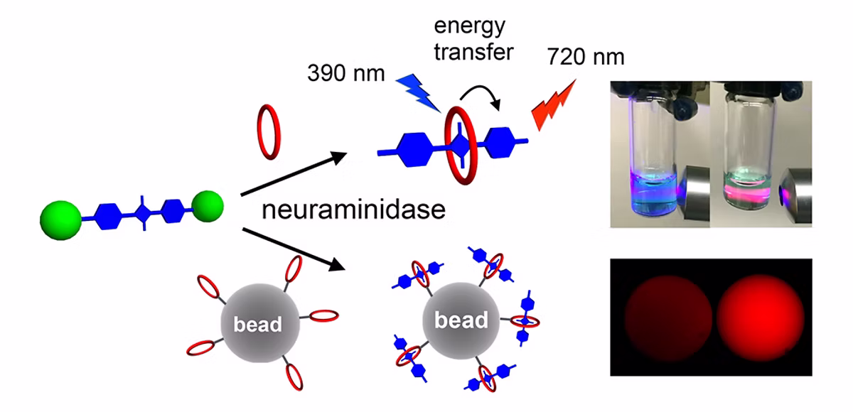 TOC Graphic for Fluorescent neuraminidase assay based on supramolecular dye capture after enzymatic cleavage