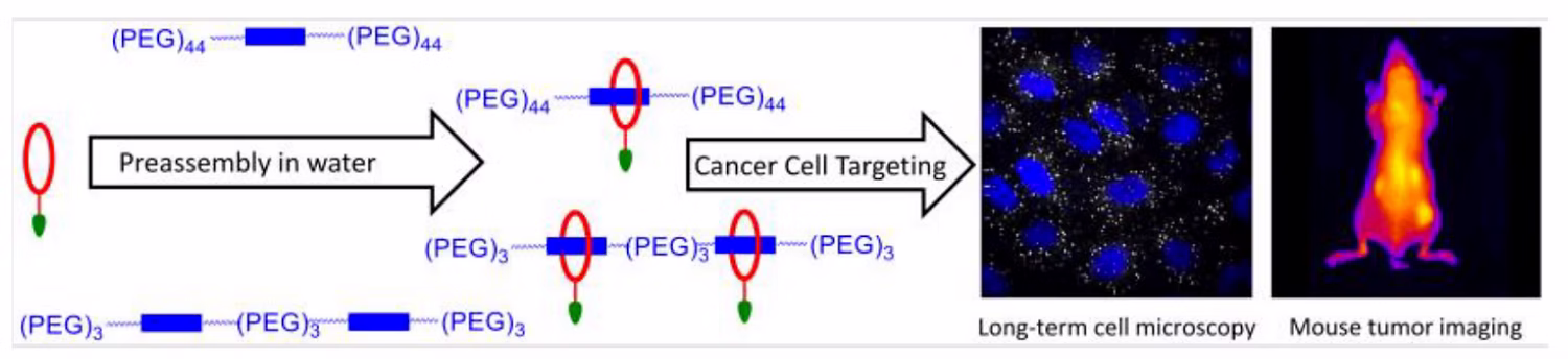 TOC Graphic for Non-Covalently Pre-Assembled High-Performance Near-Infrared Fluorescent Molecular Probes for Cancer Imaging