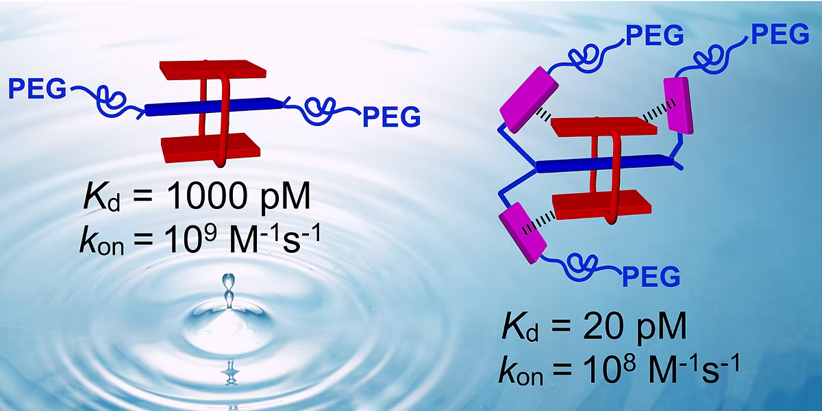 TOC Graphic for Guest Back-Folding: A Molecular Design Strategy That Produces a Deep-Red Fluorescent Host/Guest Pair with Picomolar Affinity in Water