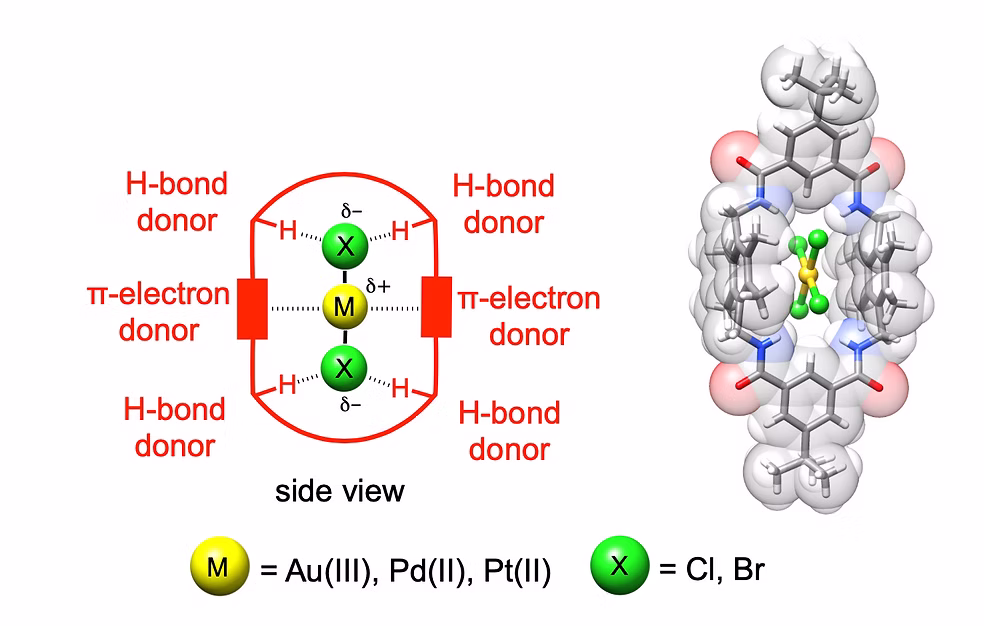 TOC Graphic for Macrocyclic Receptor for Precious Gold, Platinum, or Palladium Coordination Complexes