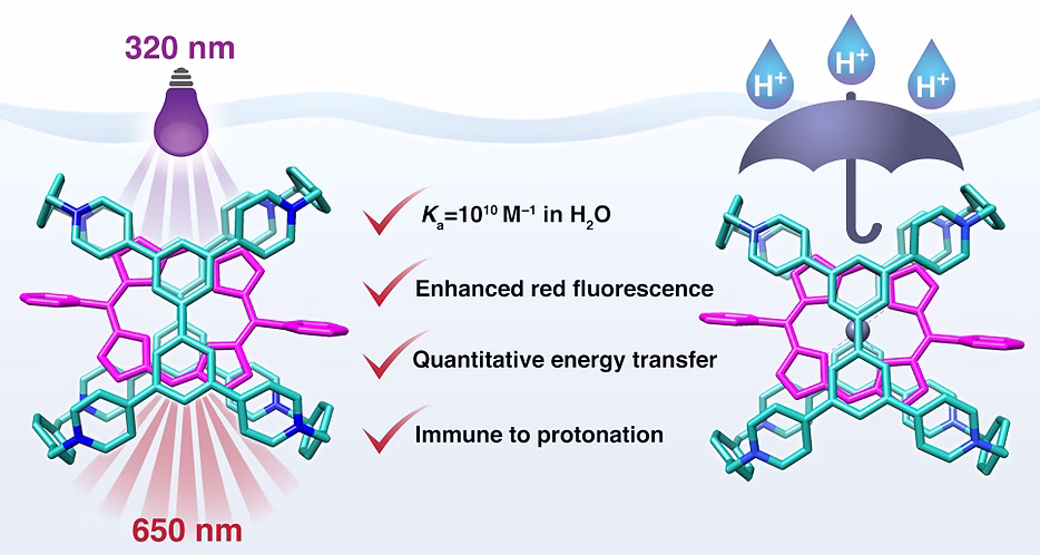 TOC Graphic for Cyclophane-{Sustained} Ultrastable Porphyrins