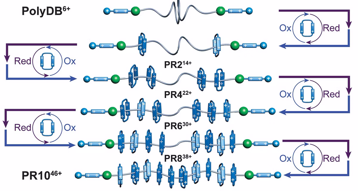 TOC Graphic for A precise polyrotaxane synthesizer