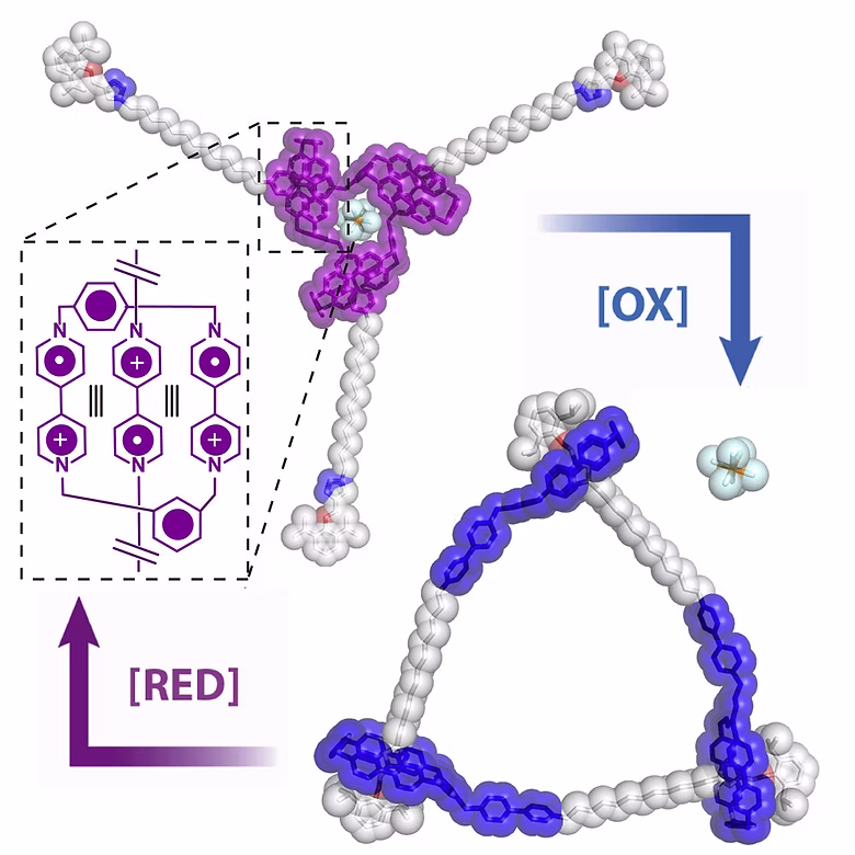 TOC Graphic for Radical Cyclic [3]Daisy Chains