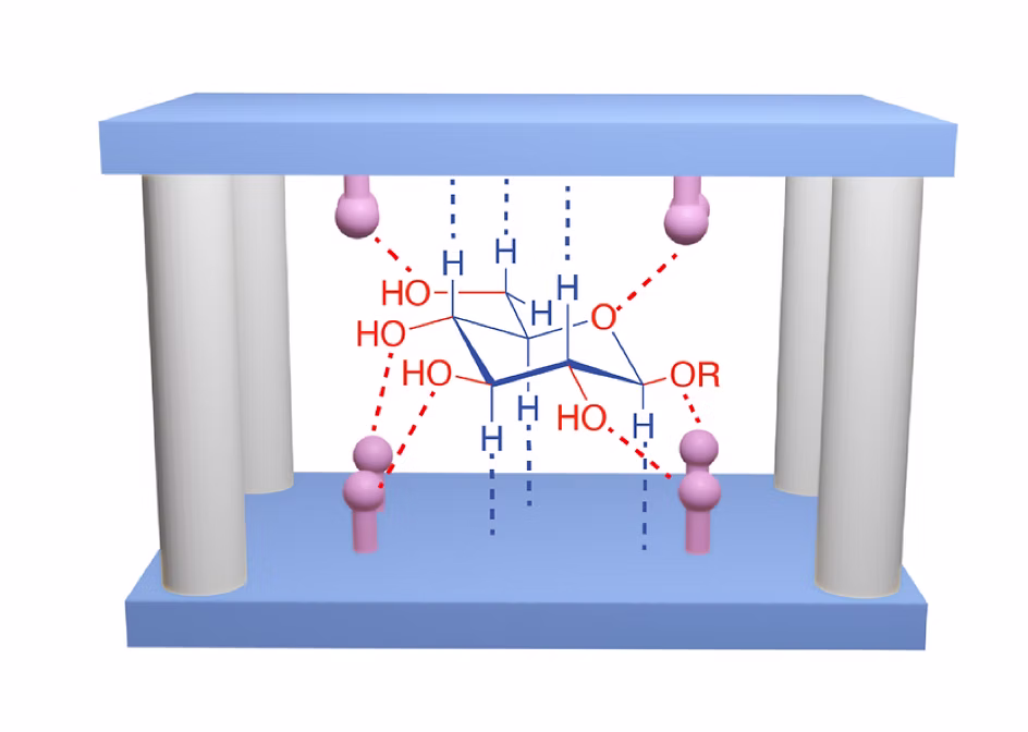 TOC Graphic for PCage: Fluorescent Molecular Temples for Binding Sugars in Water