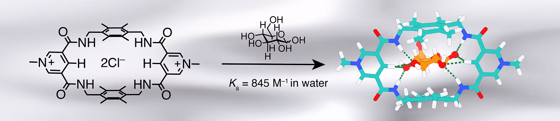 TOC Graphic for Dynamic Approach to Synthetic Lectin for Glucose with Boosted Binding Affinity through C−H Hydrogen Bonds