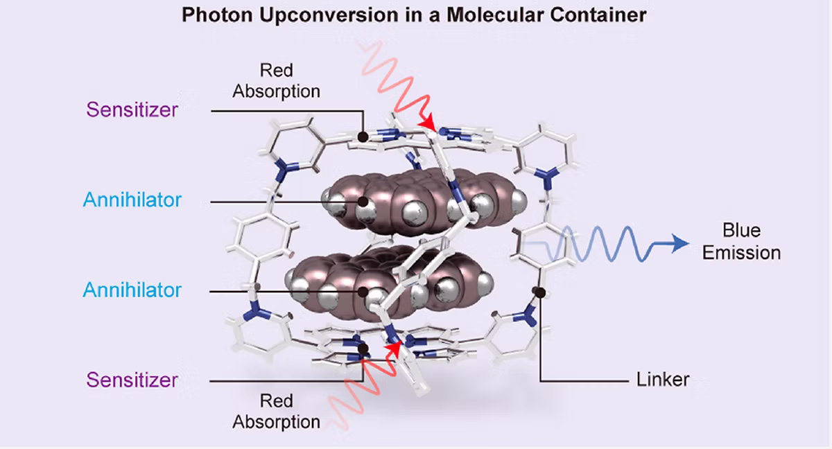 TOC Graphic for Triplet–Triplet Annihilation Upconversion in a Porphyrinic Molecular Container