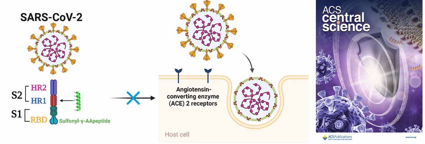 TOC Graphic for An HR2-Mimicking Sulfonyl-γ-AApeptide Is a Potent Pan-coronaviru Fusion Inhibitor with Strong Blood–Brain Barrier Permeability, Long Half-Life, and Promising Oral Bioavailability