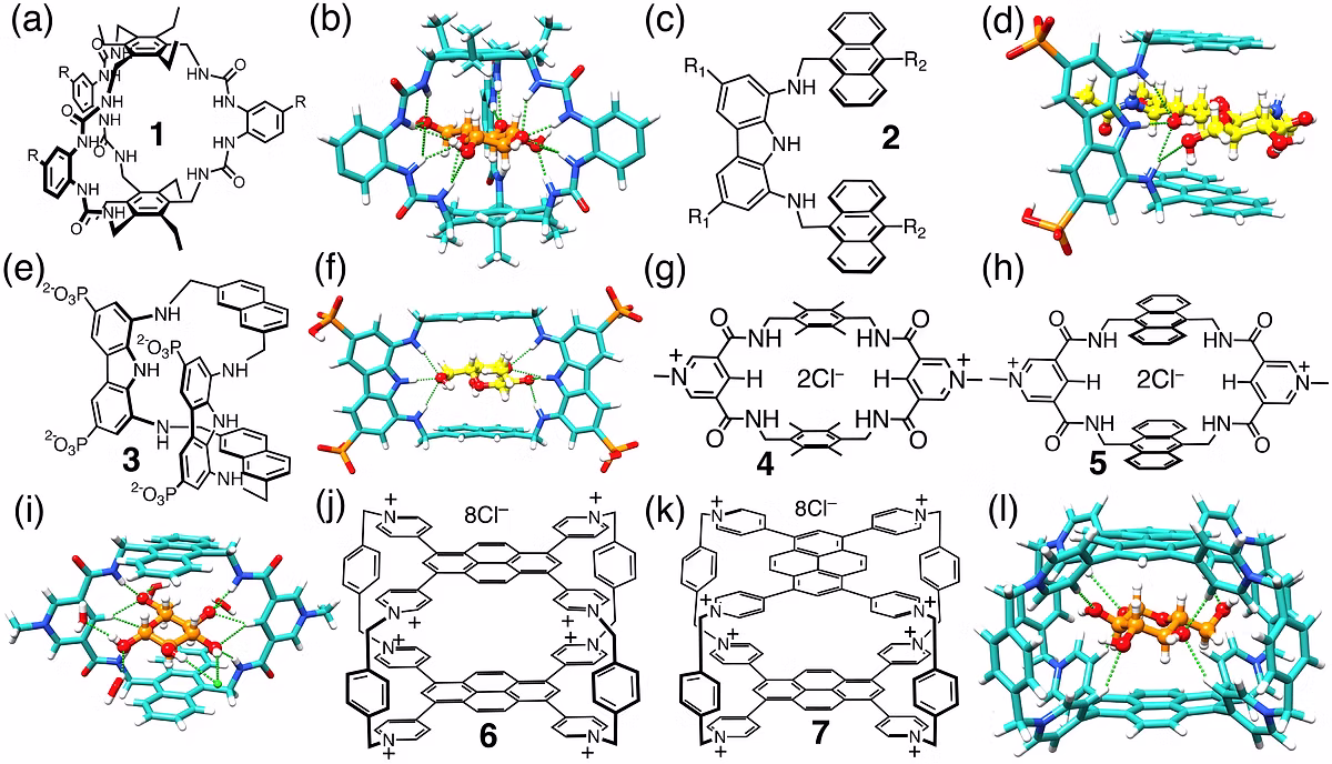 TOC Graphic for Molecular recognition in water by synthetic hydrogen-bonding receptors