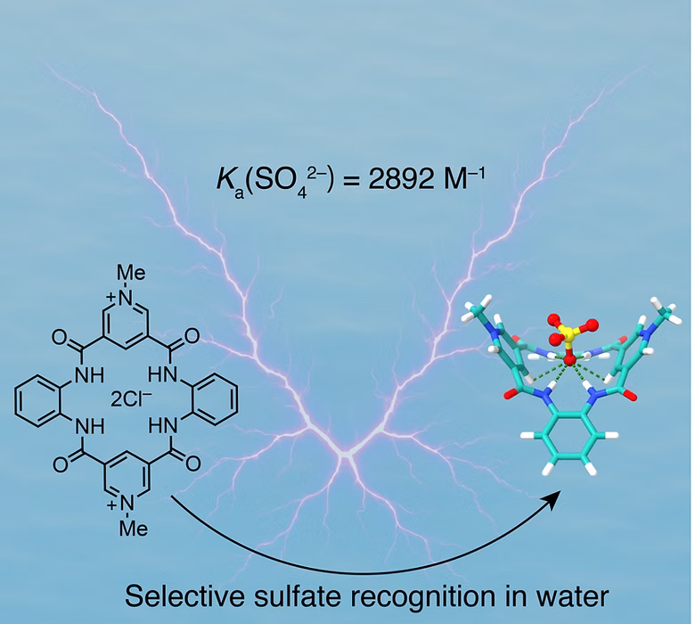 TOC Graphic for Sulfate Recognition in Water via Charge‐Assisted Hydrogen Bonding
