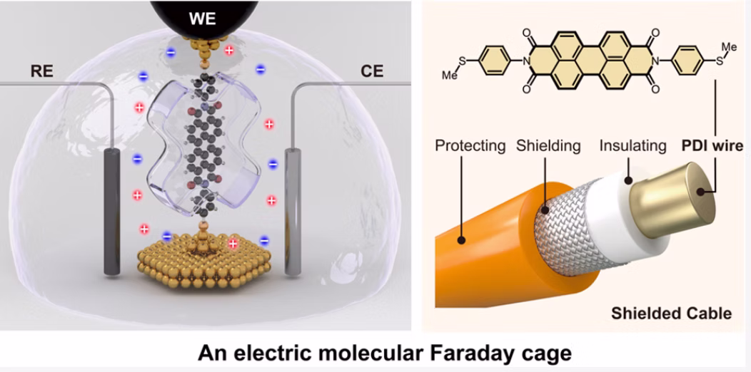 TOC Graphic for An Electric Molecular Faraday Cage