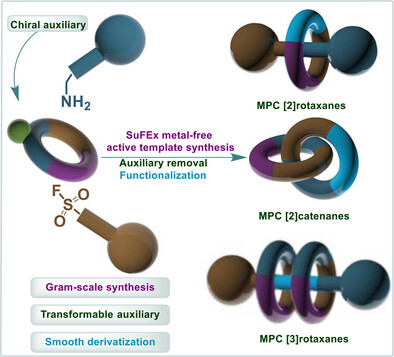 TOC Graphic for Mechanically Planar Chiral Molecules by a SuFEx‐Auxiliary Approach
