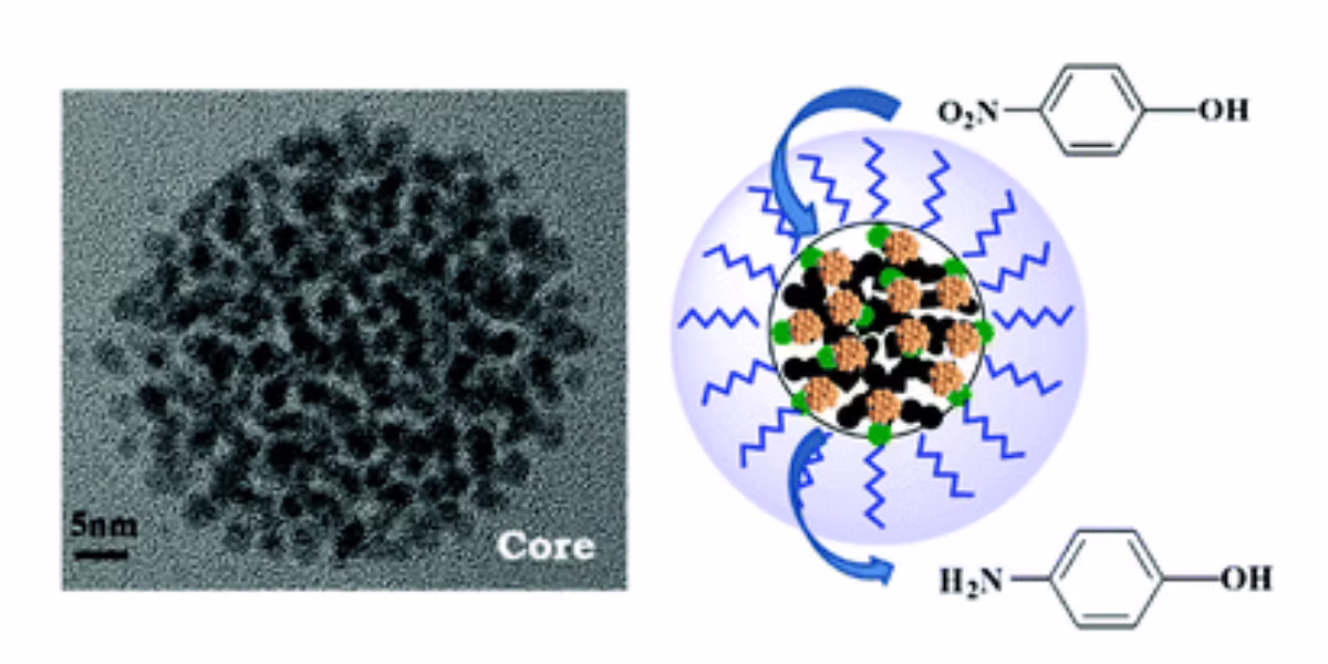 TOC Graphic for Preparation of hyperstar polymers with encapsulated Au25(SR)18 clusters as recyclable catalysts for nitrophenol reduction